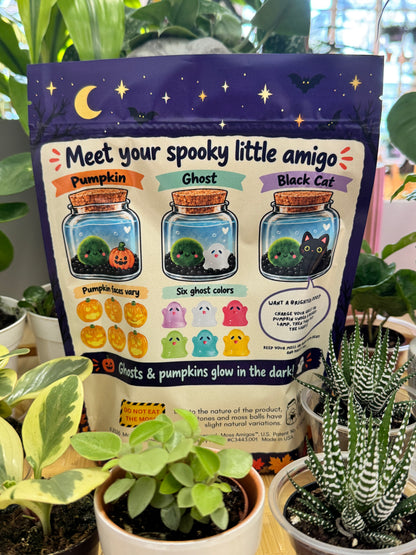 Back of the Halloween Blind Bag, pumpkin ghost and black cat