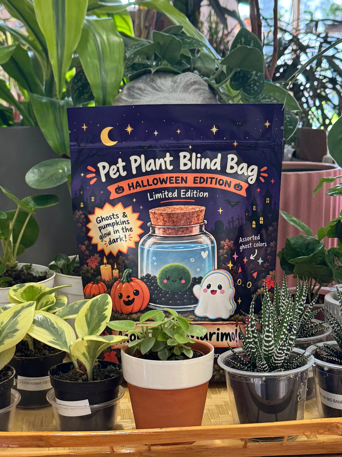 Halloween Pet Plant Blind Bag, front