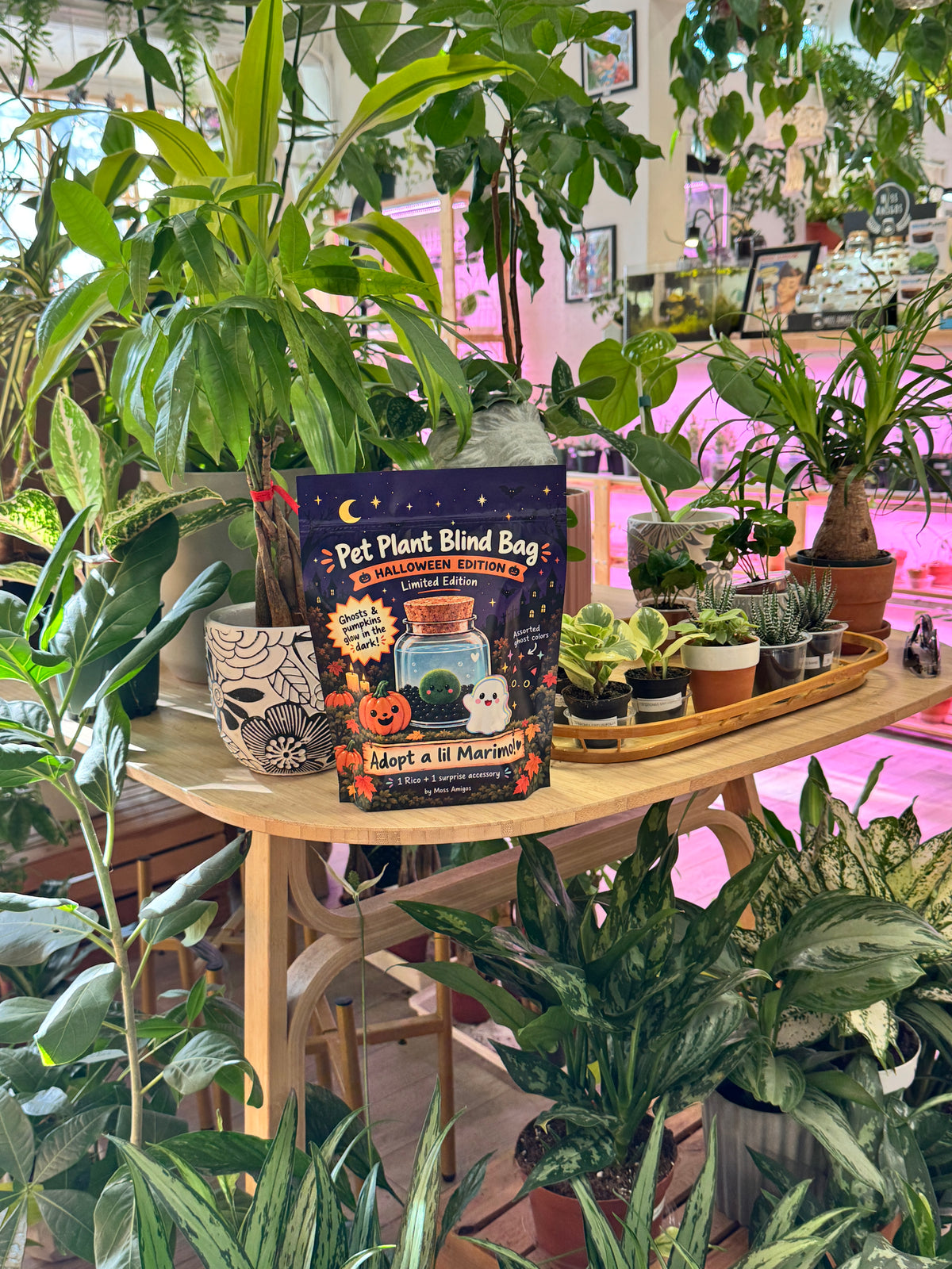 Halloween Pet Plant Blind Bag on the shop table