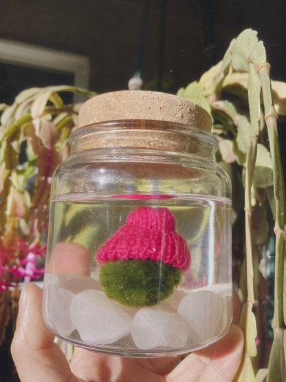 Moss Amigo with Pink beanie