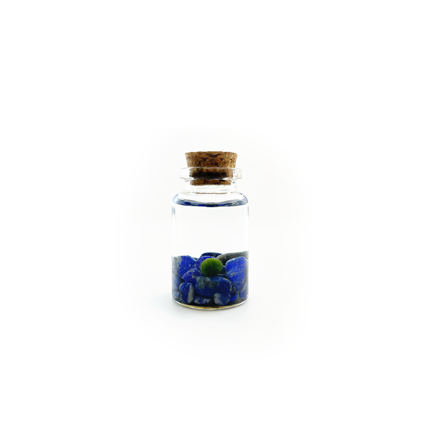Lapis Lazuli Moss Niño