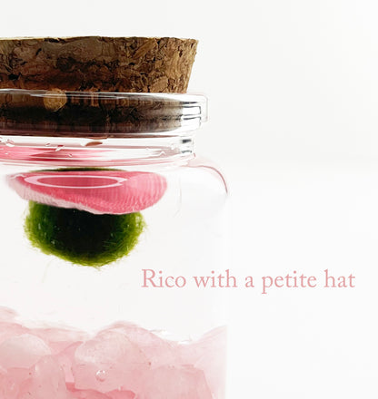 Close-up of Moss Rico with a hat and rose quartz gemstone.