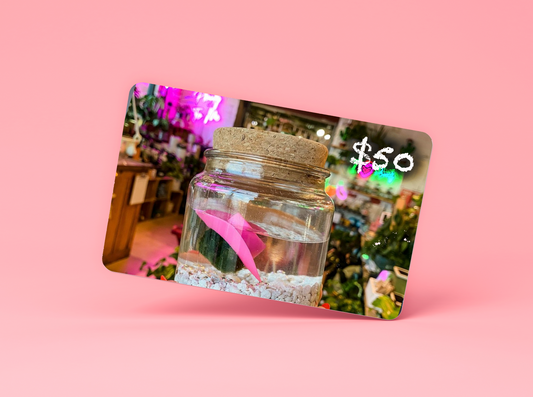 Moss Amigos Gift Card