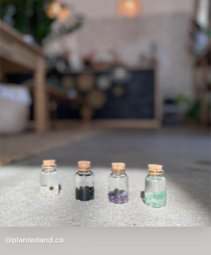 Four Moss Nino's with different gemstones