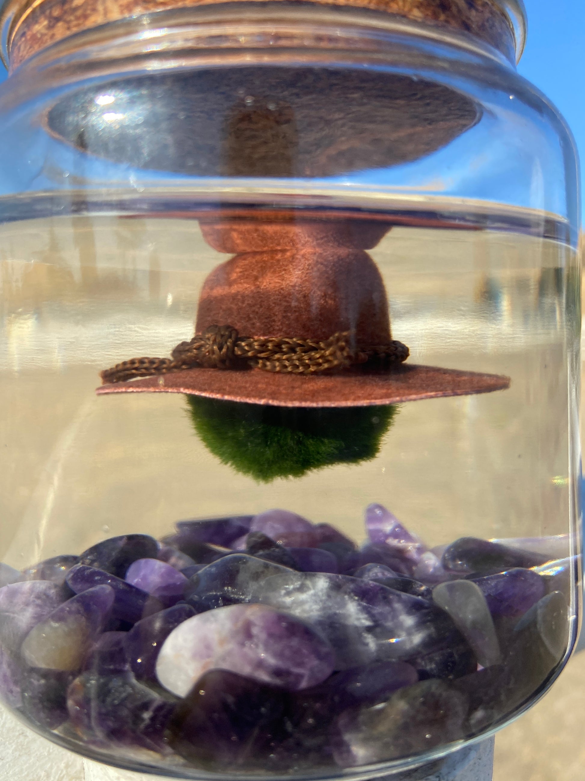 Country Hat – Moss Amigos